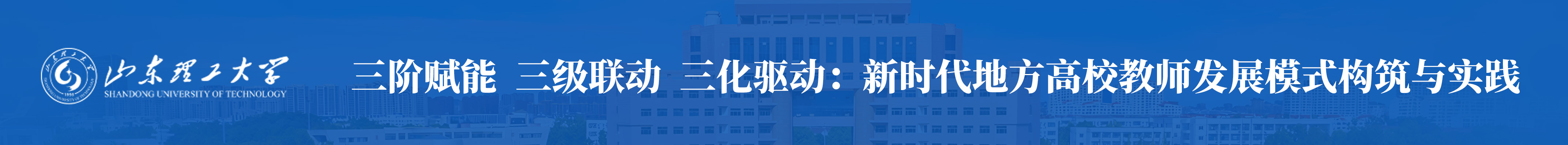 三阶赋能·三级联动·三化驱动：面向新时代的地方高校教师发展模式构筑与实践